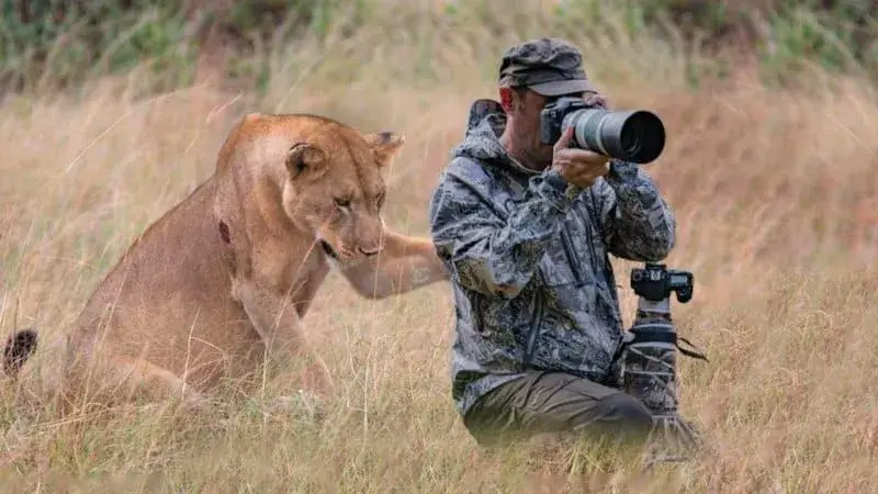Un leone chiede aiuto a un fotografo - L'incredibile verità rivelata