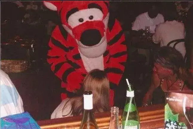 Riesci a credere a quello che vedi? 45 foto incredibili di Disneyland che sfidano la realtà!