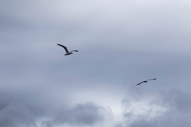 Opgelet: flinke wolk Saharazand op komst, hoogtepunt op woensdag