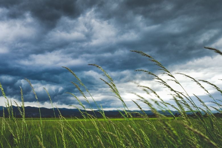Code geel in meeste delen van Nederland door harde windstoten