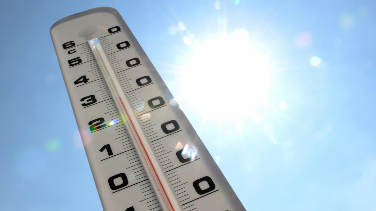 De korte broek kan aanblijven: er komt een HITTEGOLF aan! Duim omhoog voor de zomer!