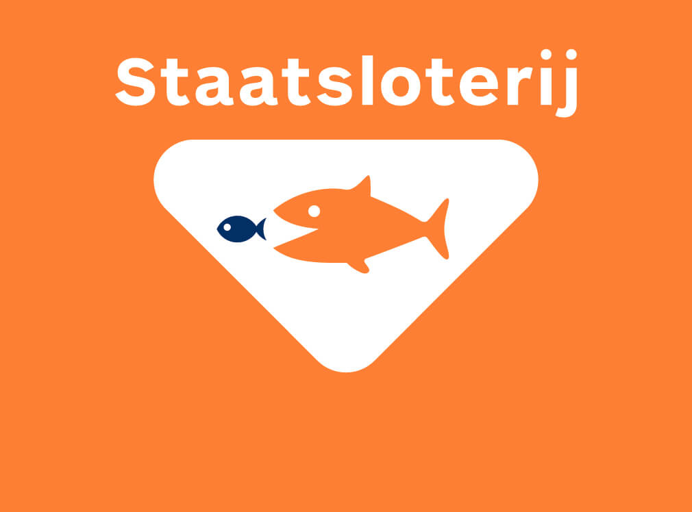 Bizar dit: je krijgt van de Staatsloterij tegenwoordig geld als je verloren hebt! Dit moet je zien!