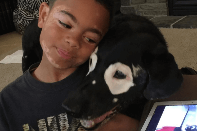 LIEF: jongen vliegt 3000 kilometer om hond met dezelfde huidaandoening te ontmoeten..