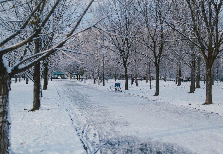 Experts voorspellen: dit weer kunnen we deze winter verwachten