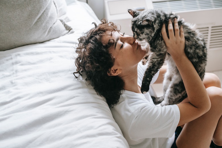 ‘Katten zien hun eigenaren daadwerkelijk als ouder’