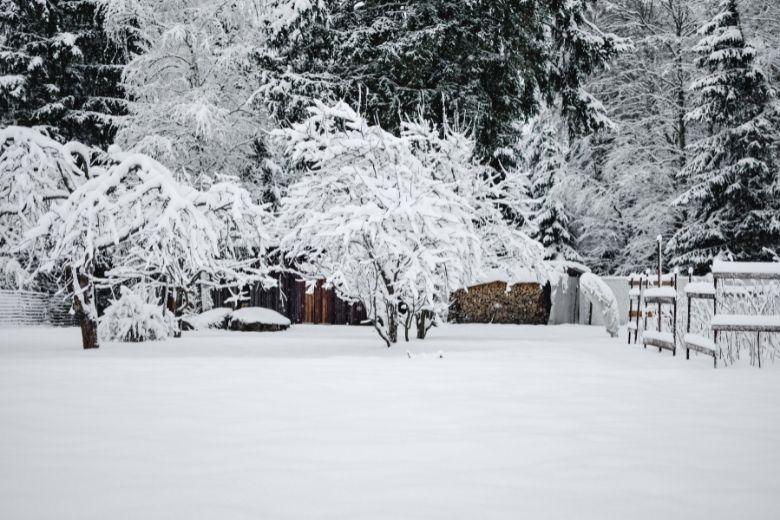 Zit een witte kerst er nog in? Dít weer kunnen we deze week verwachten