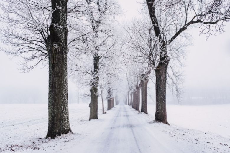 Geen 1 aprilgrap: deze week nog kans op sneeuw