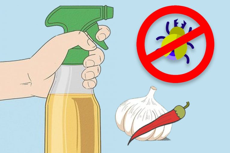 Maak je eigen insectenspray met deze gebruikelijke ingrediënten, zonder chemicaliën!