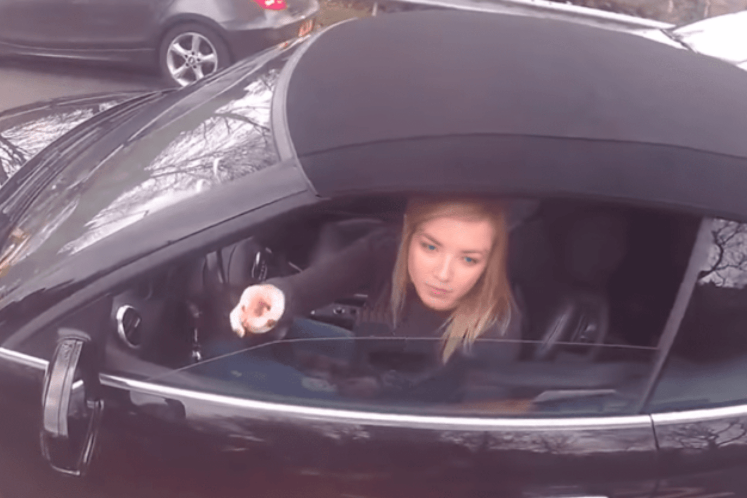 Vrachtwagenchauffeur neemt zoete wraak op de rijke vrouw die hem blokkeerde op de weg!