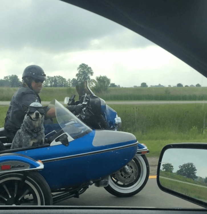 40 Foto’s die bewijzen dat je onderweg echt hele rare dingen tegenkomt
