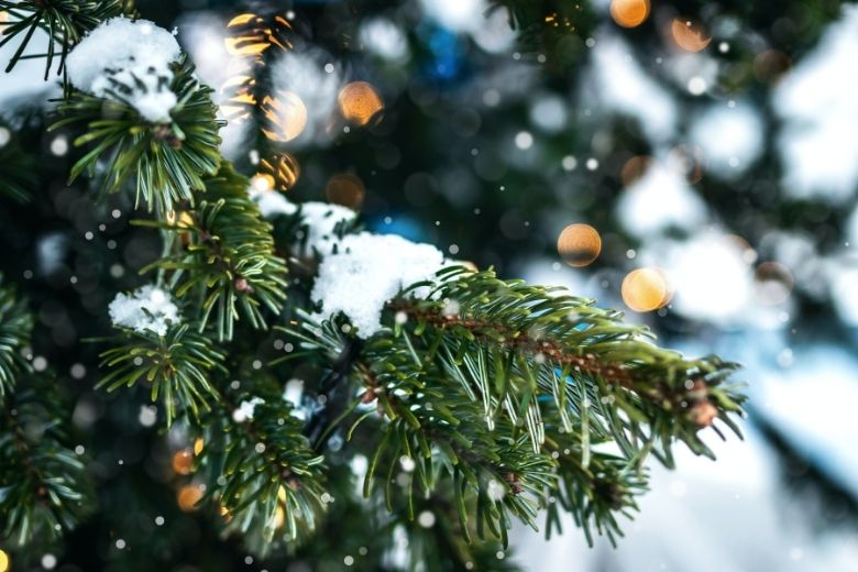 Dreaming of a white Christmas: dit is het weerbericht voor de feestdagen