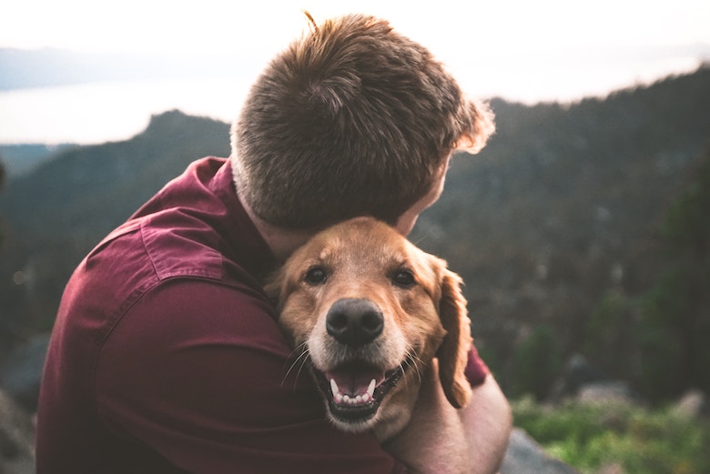 Beste vriend van de mens: 34 procent van de mensen ziet huisdier als ‘favoriete kind’