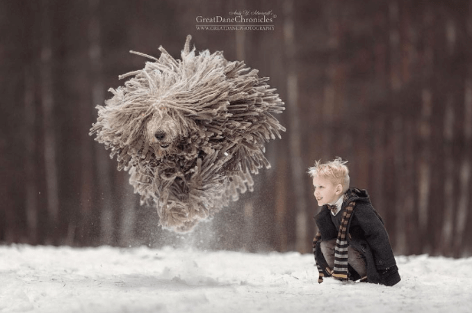 Deze fotoserie moet je hebben gezien: "Kleine kinderen en hun grote honden!"
