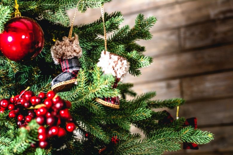 Met deze tips is jouw kerstboom ook met kerst nog prachtig!