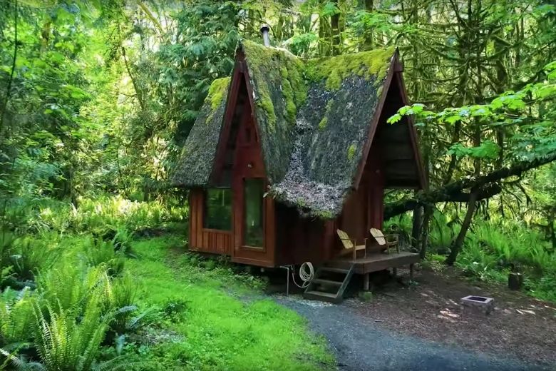 Even loeren: dit betoverende huisje middenin het bos is groter dan het lijkt
