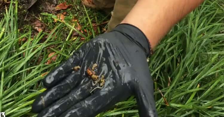 Na het onkruid wieden overleed hij! PAS OP! Jij kan de volgende zijn!