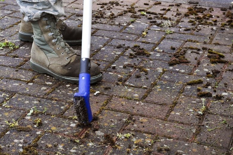 Onkruid tussen de tegels? Met deze tip ben je er zo vanaf