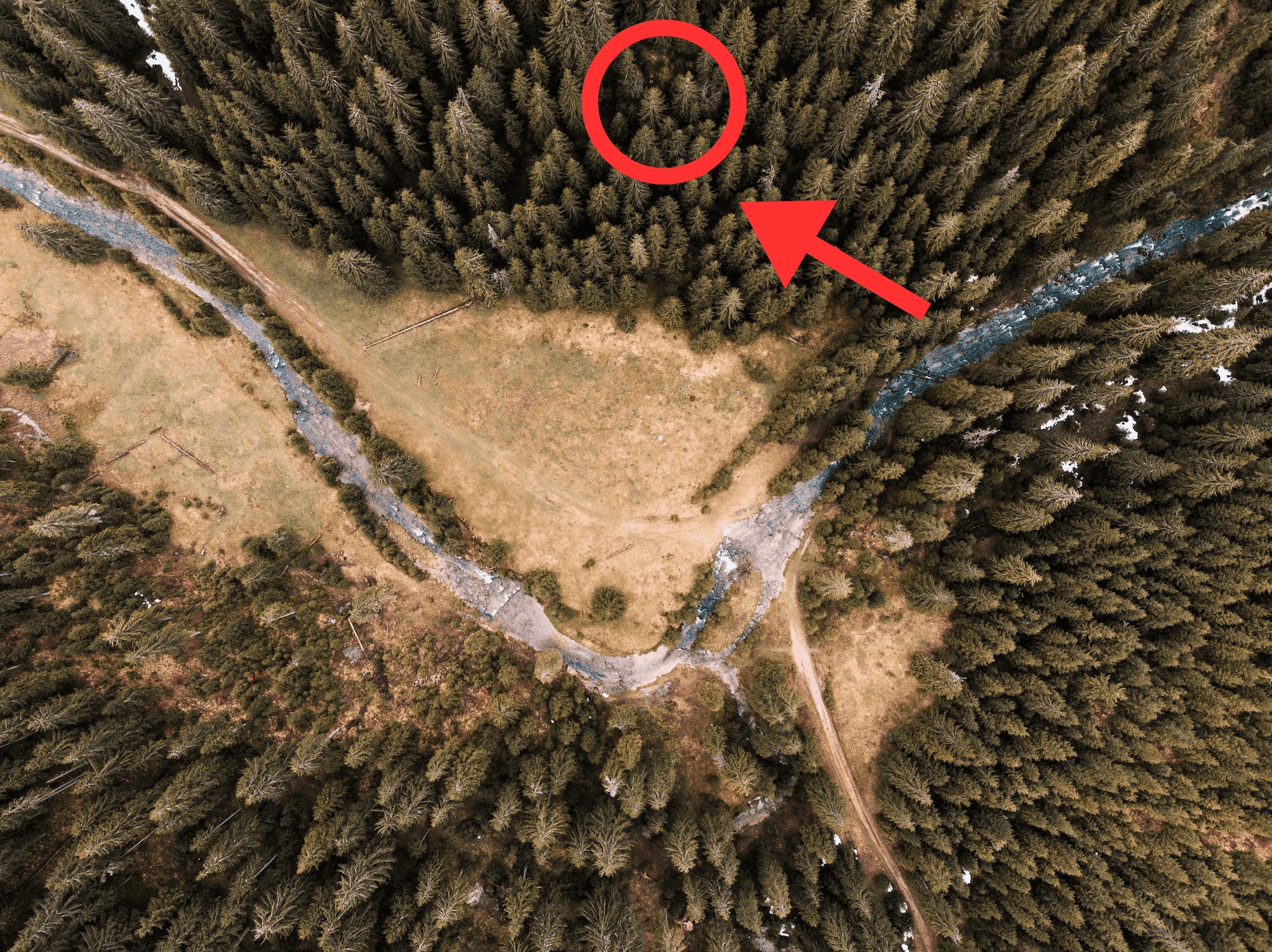 Drone legt iets vast wat niemand had mogen zien