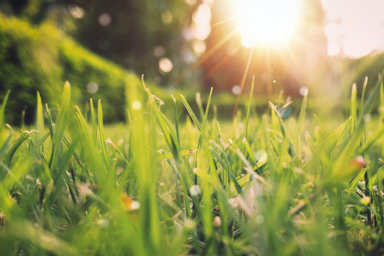 Lenteweer op komst! Deze week veel zon en amper regen