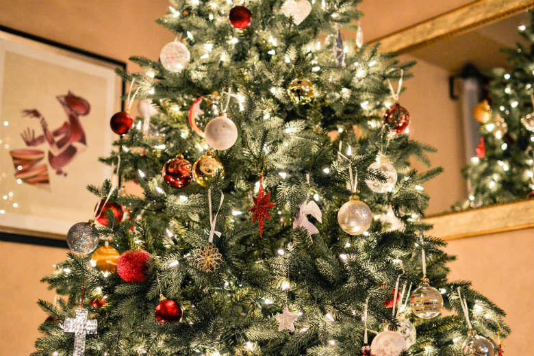 Zo kies je de beste kerstboom uit