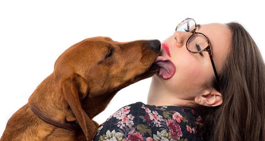 VIDEO: Laat jij je hond wel eens aan je gezicht likken? Om DEZE reden zou je dat nooit moeten doen!