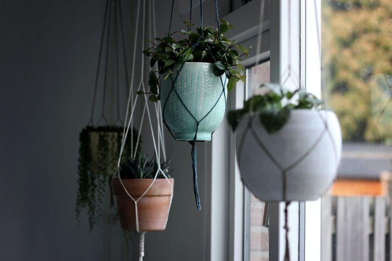 Deze 10 prachtige hangplanten wil jij hebben in je huis