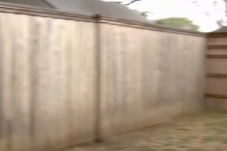 Man neemt schattige "puppy" mee naar huis, dit blijkt een gevaarlijke vergissing