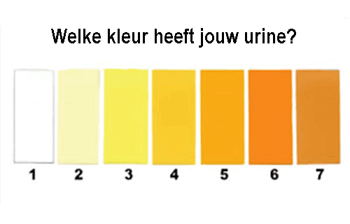 DIT zegt de kleur van jouw urine over je gezondheid! Belangrijk om te weten!
