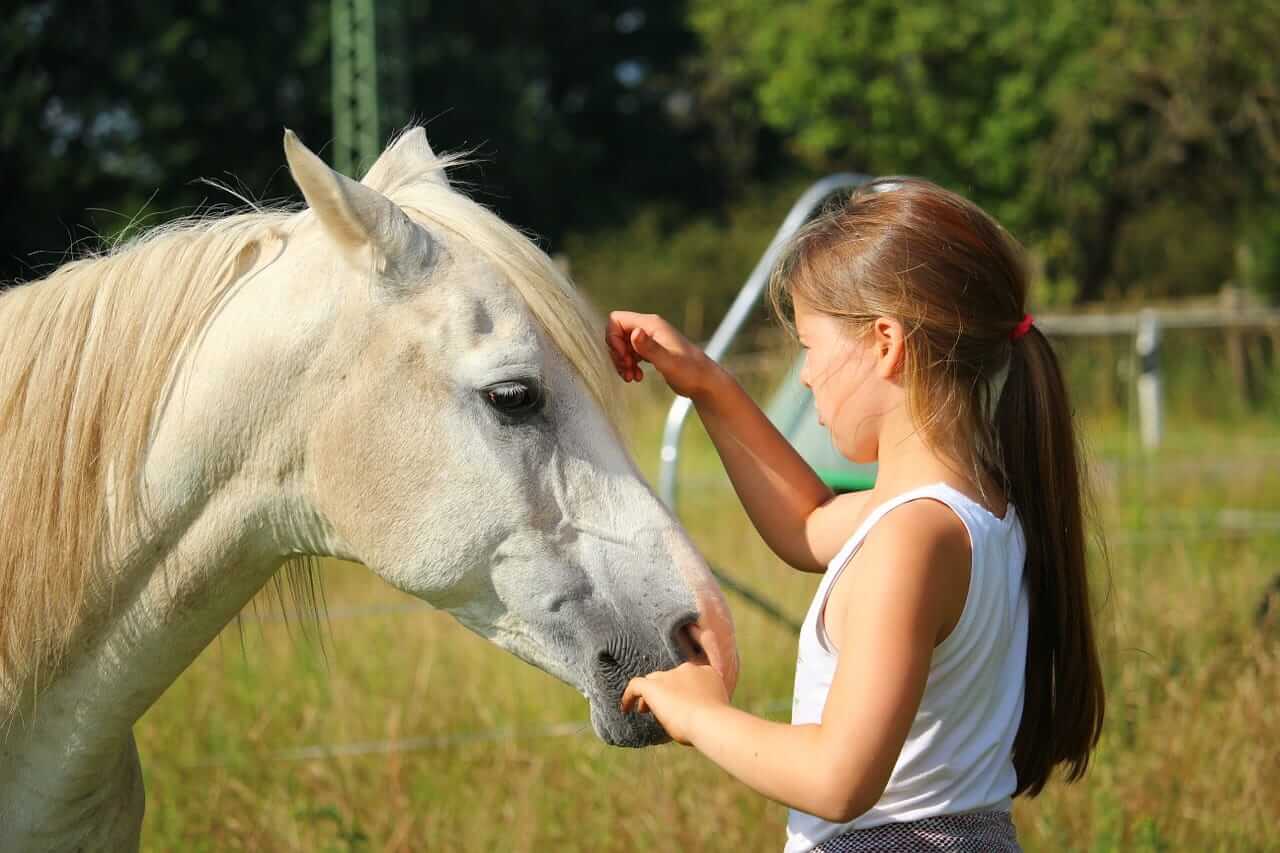 Deze hilarische foto van een meisje en 'photobombend' paard werkt gegarandeerd op je lachspieren.