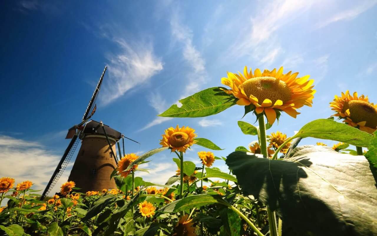 Eindelijk, begint de zomer dan toch echt? Bekijk dit weerbericht eens!