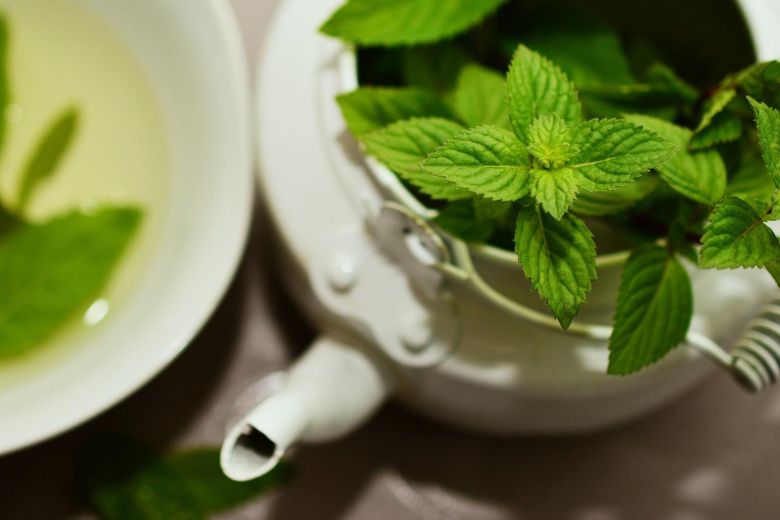 Zet deze plant in de keuken als je last hebt van fruitvliegjes