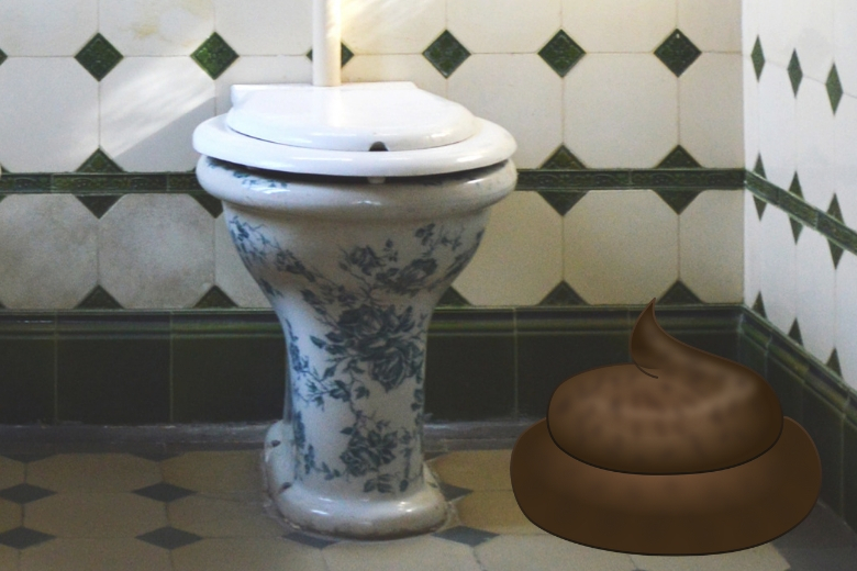Een grote boodschap doen: hoe vaak is eigenlijk normaal?