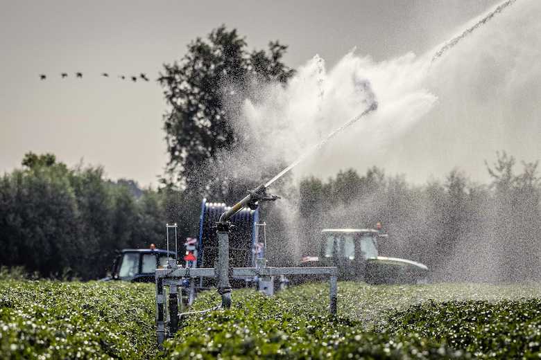 Weerbericht: weinig verkoeling, maar meer kans op buien