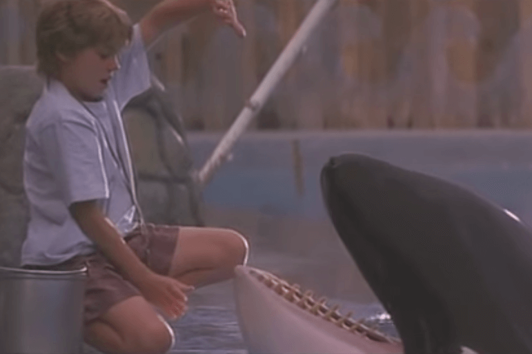Goed opgedroogd: zó ziet het jongetje uit Free Willy er nu uit, wat een knapperd!