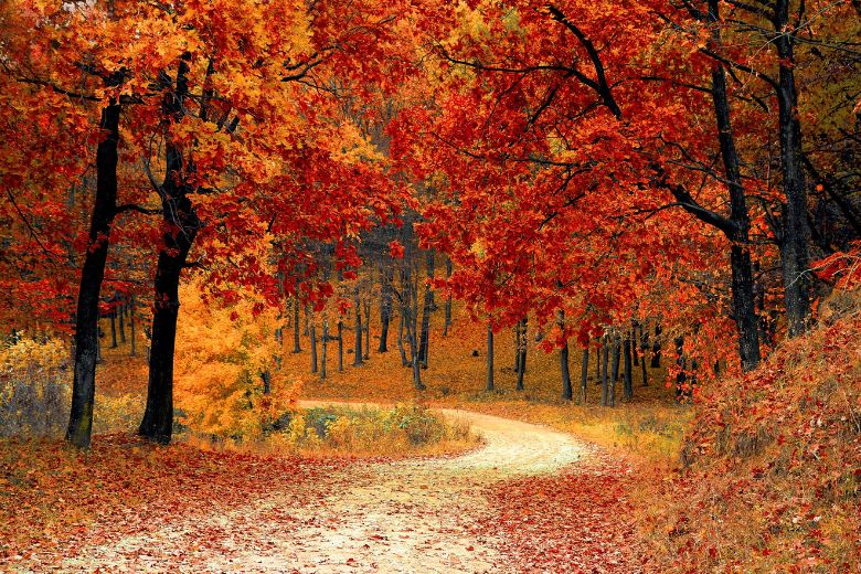 Dankzij warme herfst besparen we zo’n 7 euro per dag