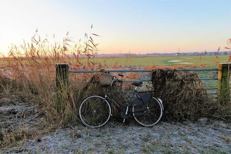 Het weer van deze week: kil, glad en winters
