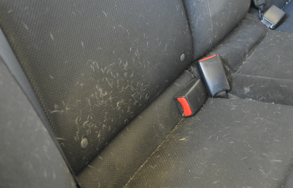 Met DEZE superhandige tip verwijder jij al het hondenhaar uit je auto! Fris de lente in!
