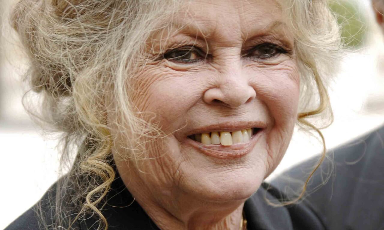 brigitte bardot