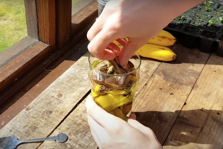 Waarom je je bananenschil niet moet weggooien, maar in water moet laten weken 