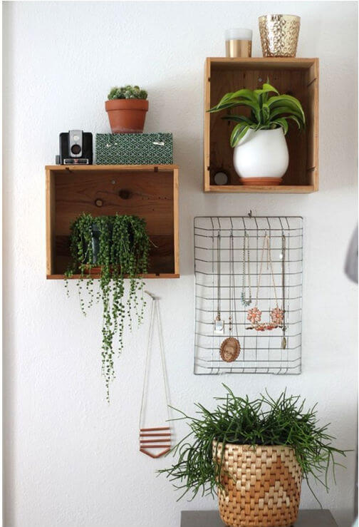 Een lade aan de muur voor planten