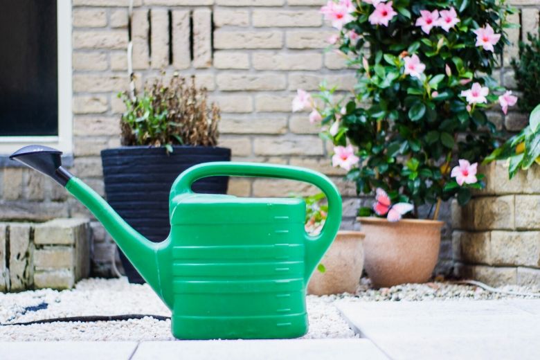 Droge zomer in aantocht: 5 tips om je tuin te beschermen tegen de droogte