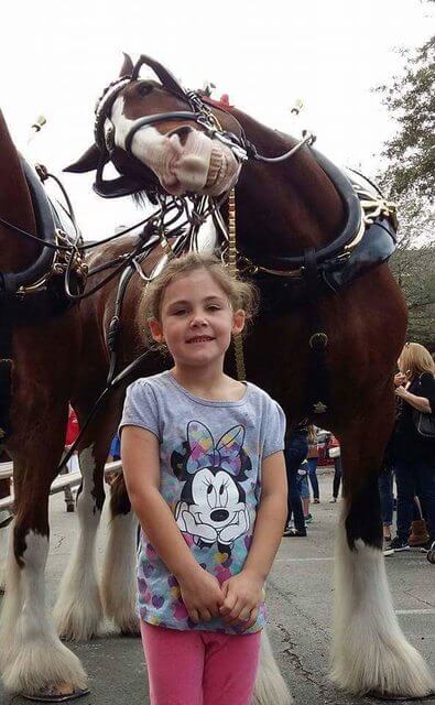 Deze hilarische foto van een meisje en 'photobombend' paard werkt gegarandeerd op je lachspieren.
