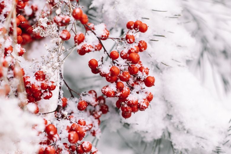 Een witte kerst in Nederland? Hier is de kans het grootst