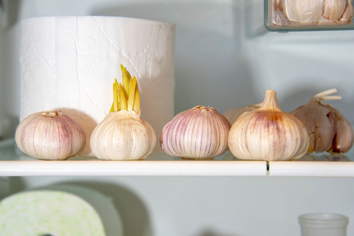 Dit eenvoudige trucje met knoflook maakt je toilet brandschoon – en het werkt écht