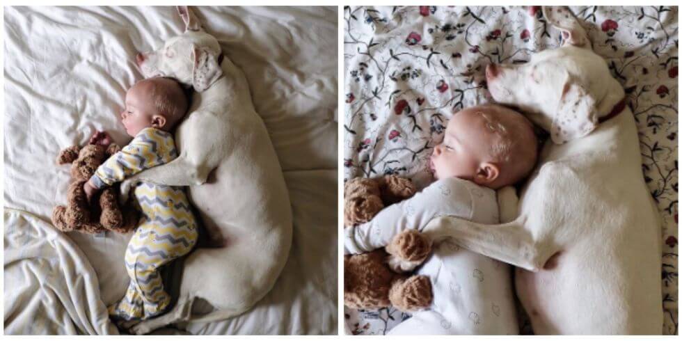 Aaahw, deze twee zijn zo schattig, wij smelten van deze knuffel foto's!