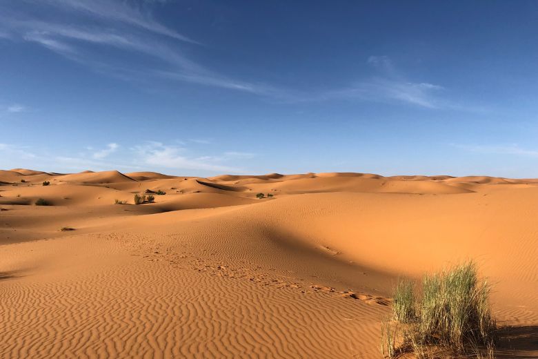 Ah oh: er komt weer Saharazand onze kant op