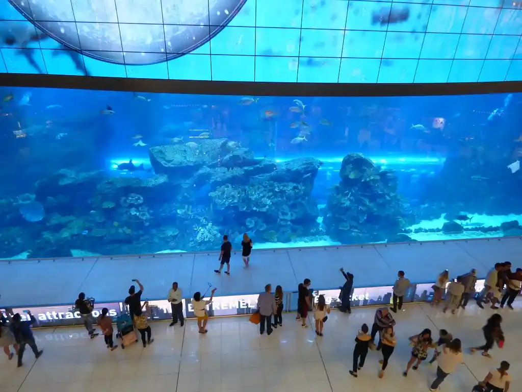 47 gekke dingen die je alleen in Dubai vindt
