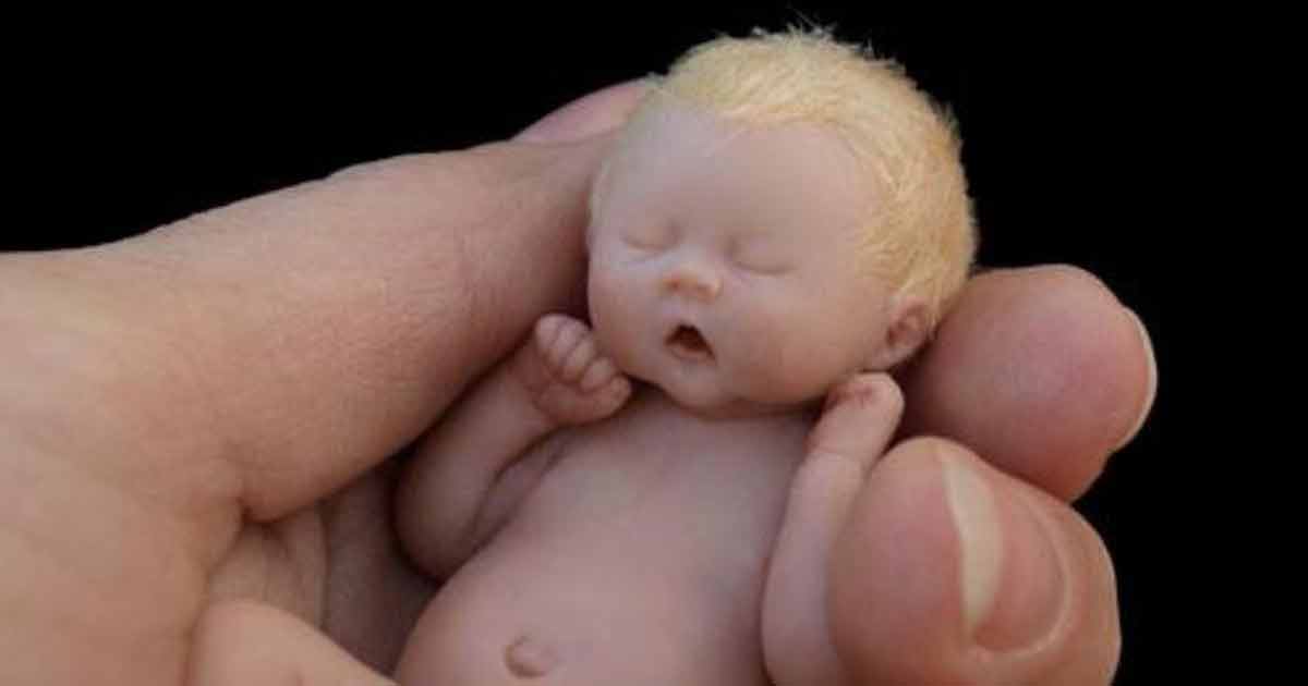 Het lijken hele kleine baby's, maar kijk eens vanaf wat dichterbij! Heel erg knap!