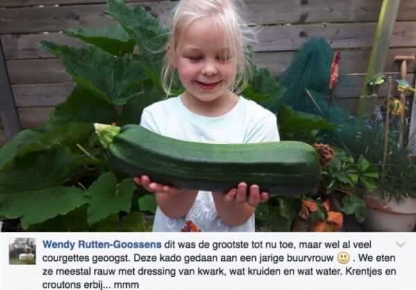 courgette1