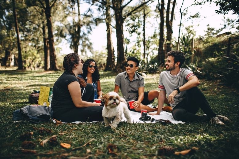 Horeca roept op tot massale picknick dit weekend